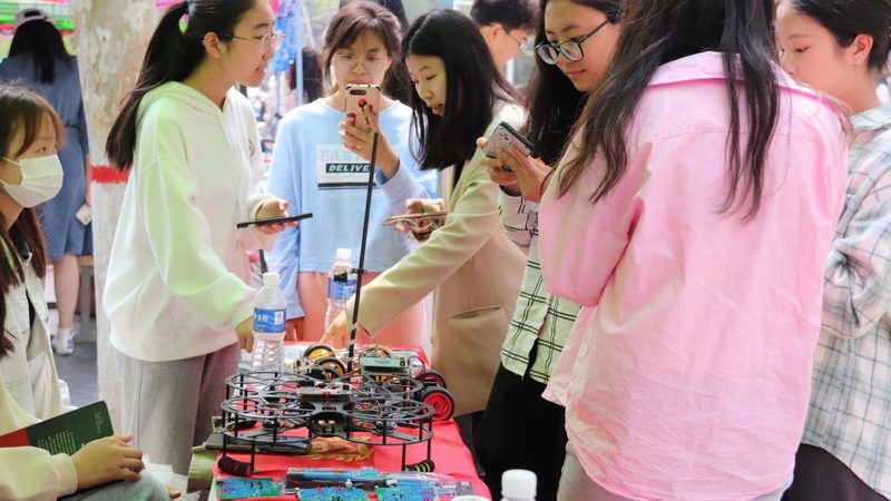 科技服务项目招标报价方案：为什么低价未必是赢家